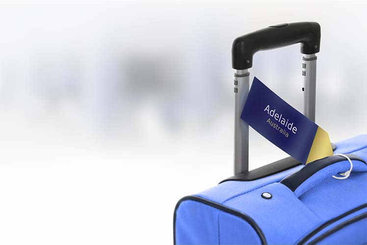 Luxury corporate transfer transport chauffeur private hire adelaide